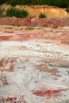 lemauff_063